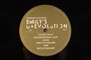 Emily's D Evolution (10)
